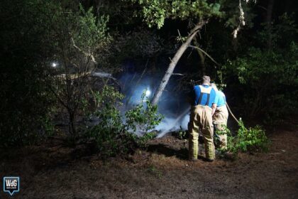 Brandweer dooft natuurbrand aan Randweg-Oost in Budel