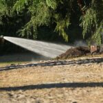 IJsberen ontdekken natuurbrand in De IJzeren Man