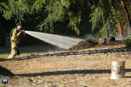IJsberen ontdekken natuurbrand in De IJzeren Man