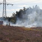 Natuurbrand bij Kamersven in Maarheeze snel onder controle