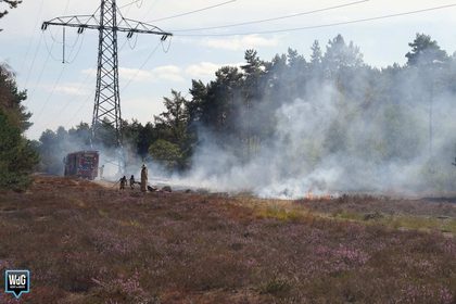 Natuurbrand bij Kamersven in Maarheeze snel onder controle