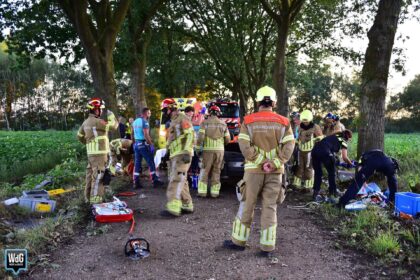 Bestuurder zwaargewond na botsing tegen boom in Meijel