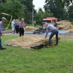 Dorsers scheiden het graan van de stengels en aren. Foto via Limburgs Openluchtmuseum Eynderhoof