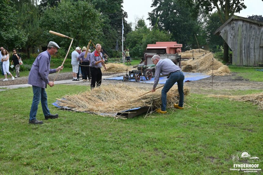 Dorsers scheiden het graan van de stengels en aren. Foto via Limburgs Openluchtmuseum Eynderhoof