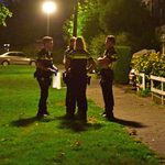 Bewoonster aangehouden na steekincident in woning Maarheeze