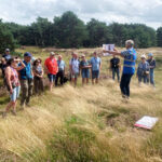 Foto via Weerter Stadsgidsen