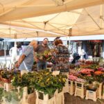 Weekmarkt krijgt extra kleur door boekpresentatie en beiaardconcert