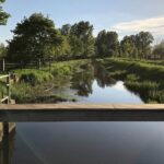 Waterschap Limburg roept op het grondwatergebruik zo veel mogelijk te beperken. Archieffoto