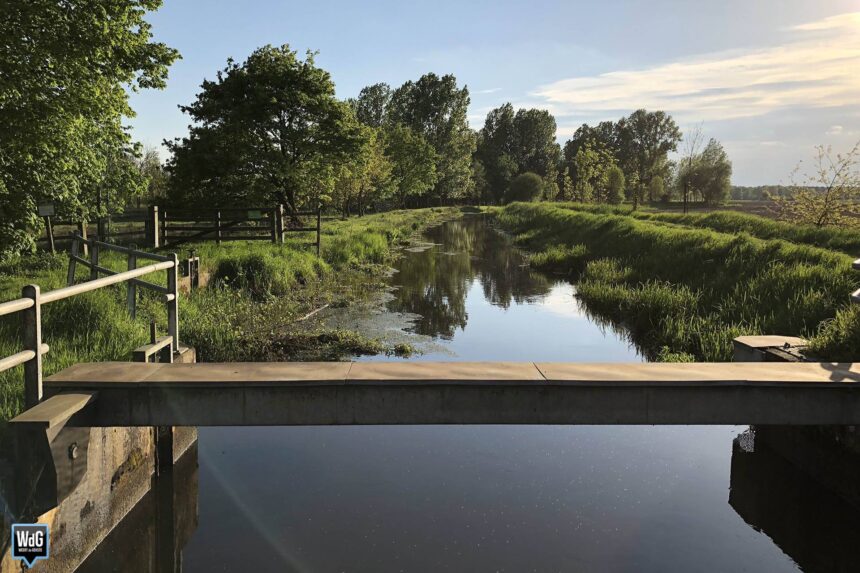 Waterschap Limburg roept op het grondwatergebruik zo veel mogelijk te beperken. Archieffoto